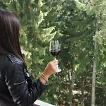 Aparthotel за гости евелин Pamporovo