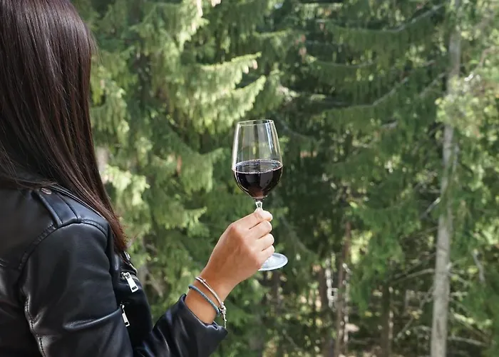 アパートホテル за гости евелин パンポロボ